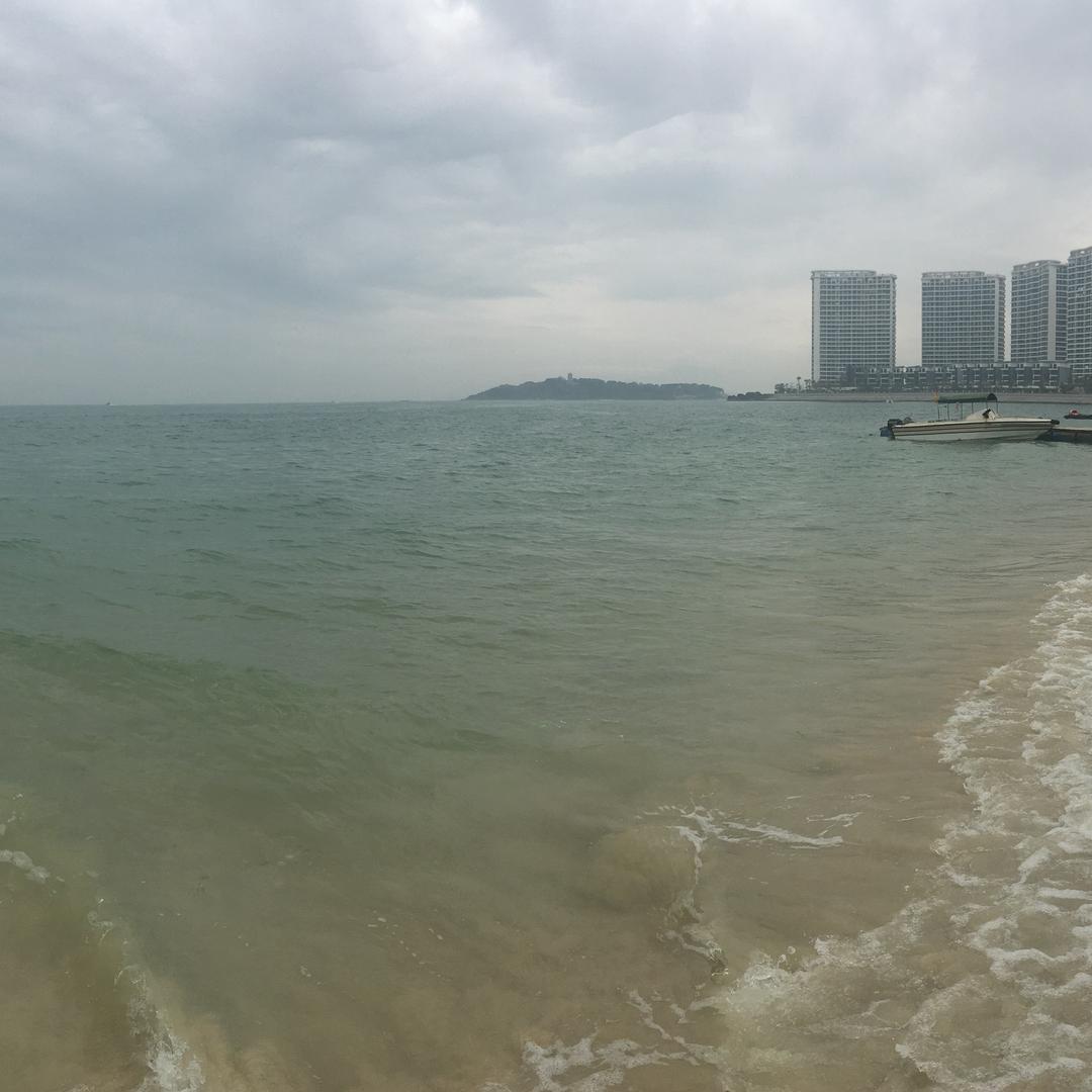 陆地旱鸭子