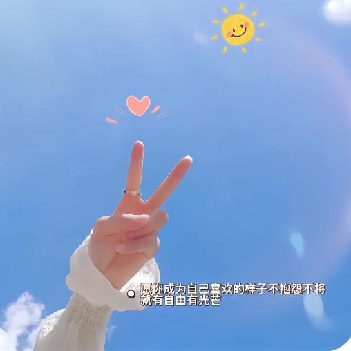 一鹿有你车饰