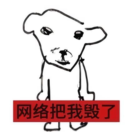 不看起飞睡不着