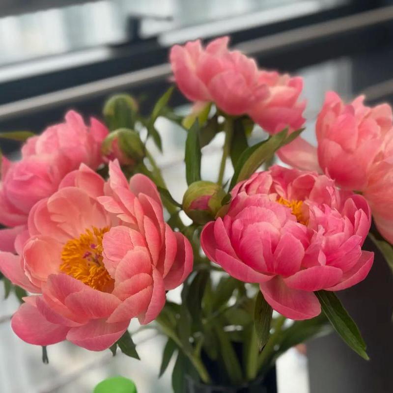 菏泽花坊