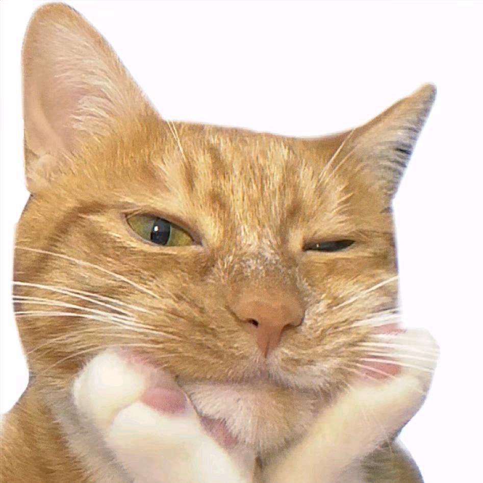 大闹野猪林女士