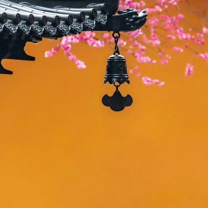 秒玄