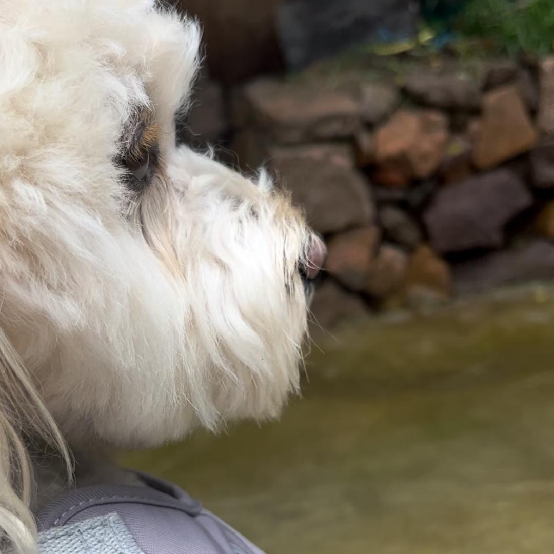 🧸ྀི༨Rꫀꪖᦔᵧₒᵤ🌙 黎落