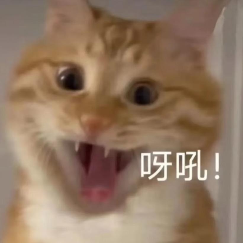 不吃鱼