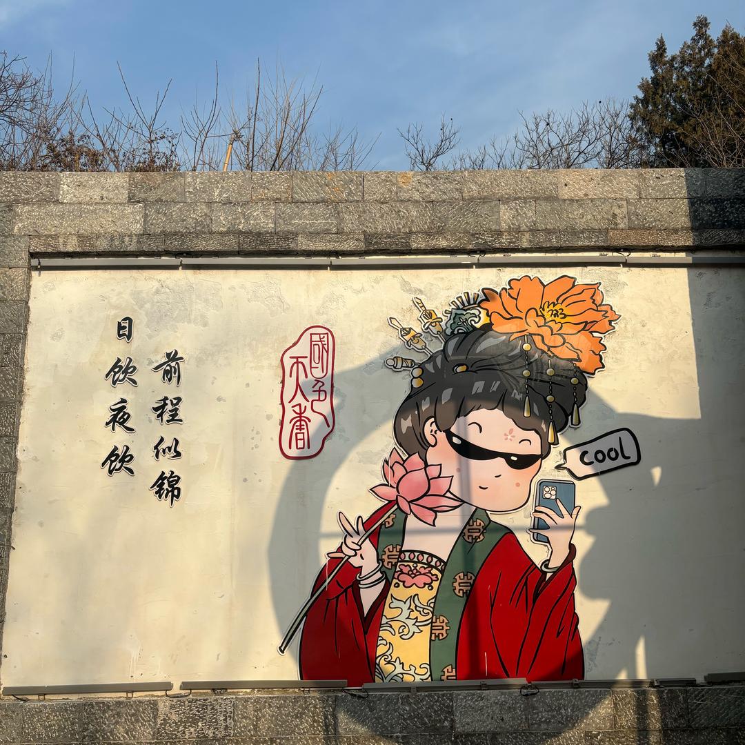 橘子🍊🍊