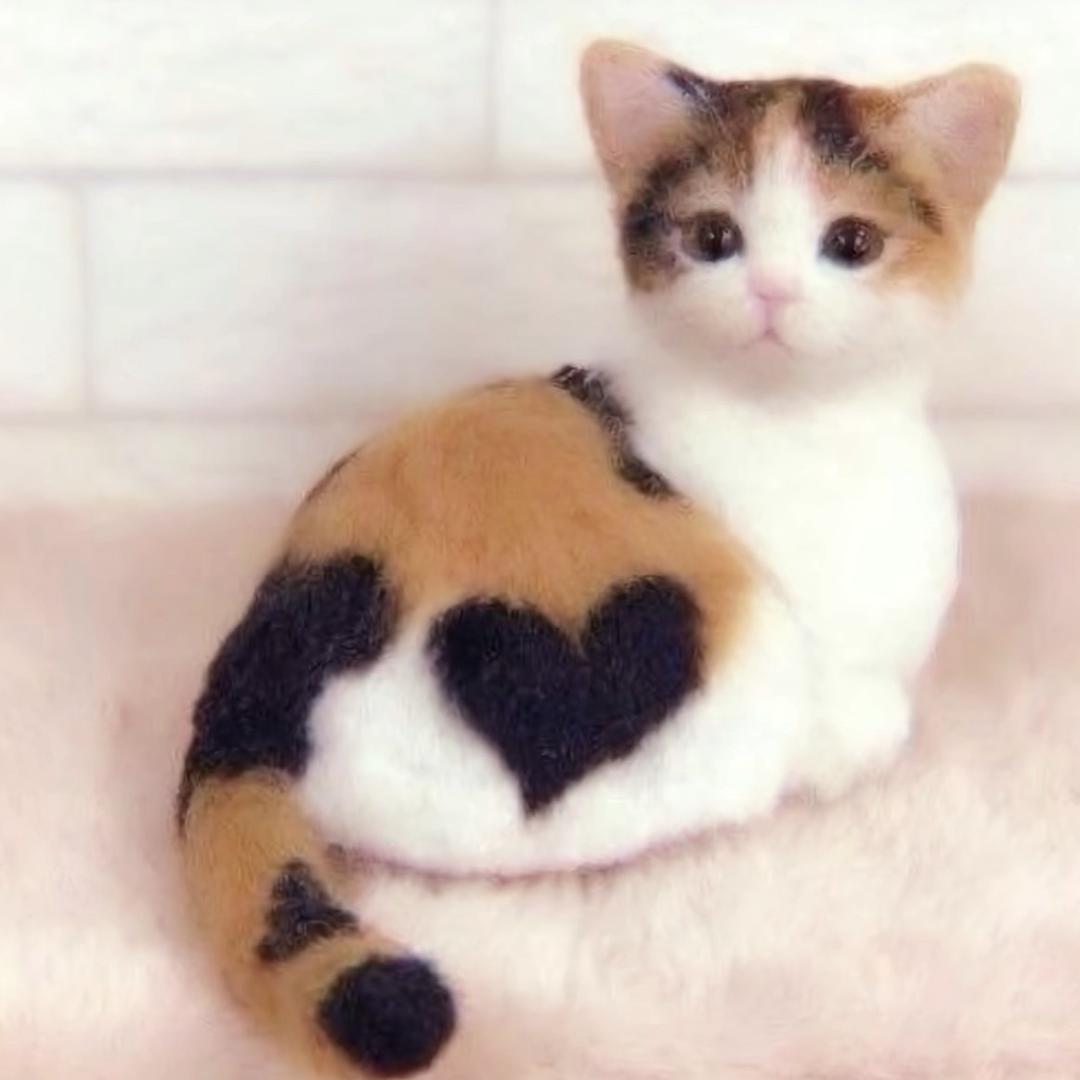 孔m基