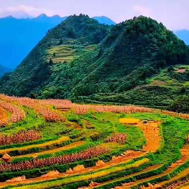 阿英山货