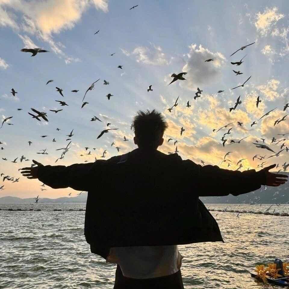 顾北的