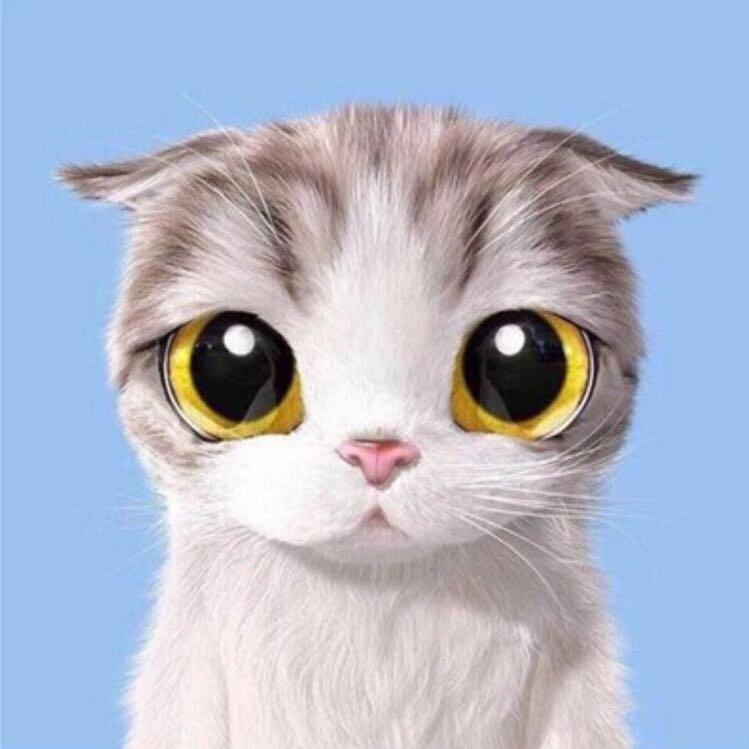 小五子
