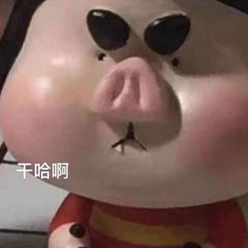 扮猪吃小猪🐷