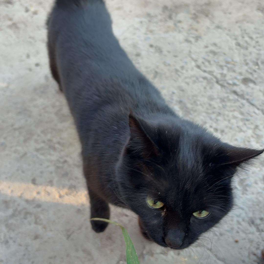 溜达溜达一圈啦