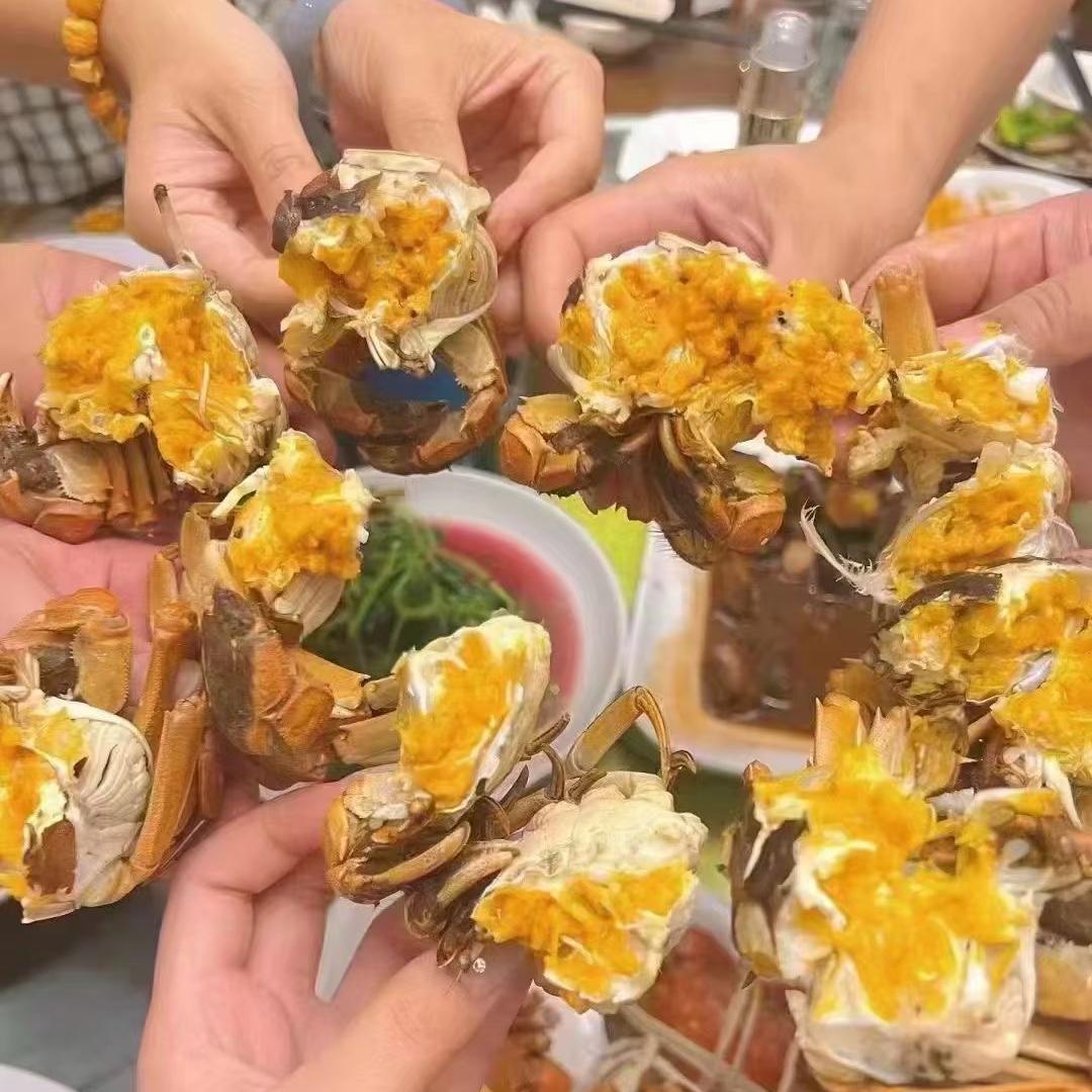 好运鲤甄选