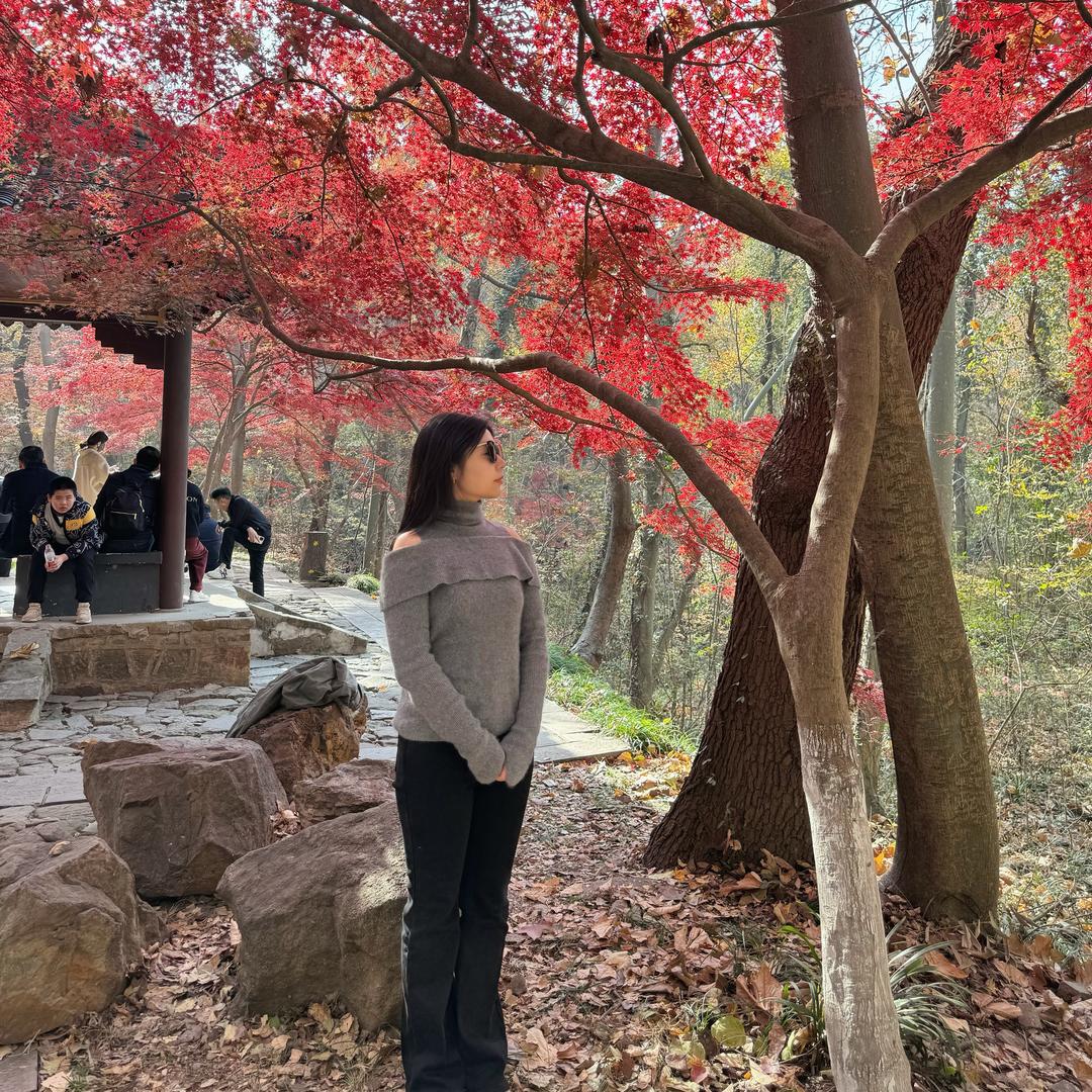 苗苗（王大帅团队）