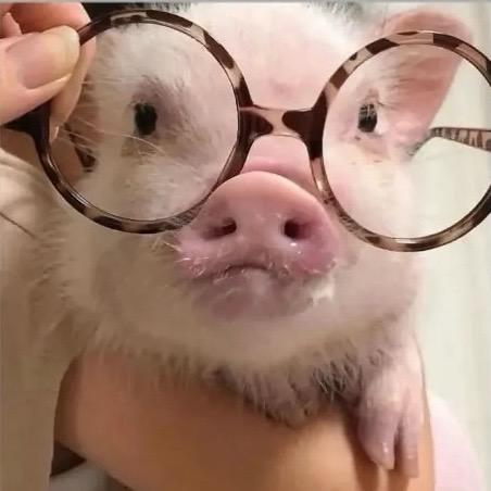 忧郁的阳泉入66