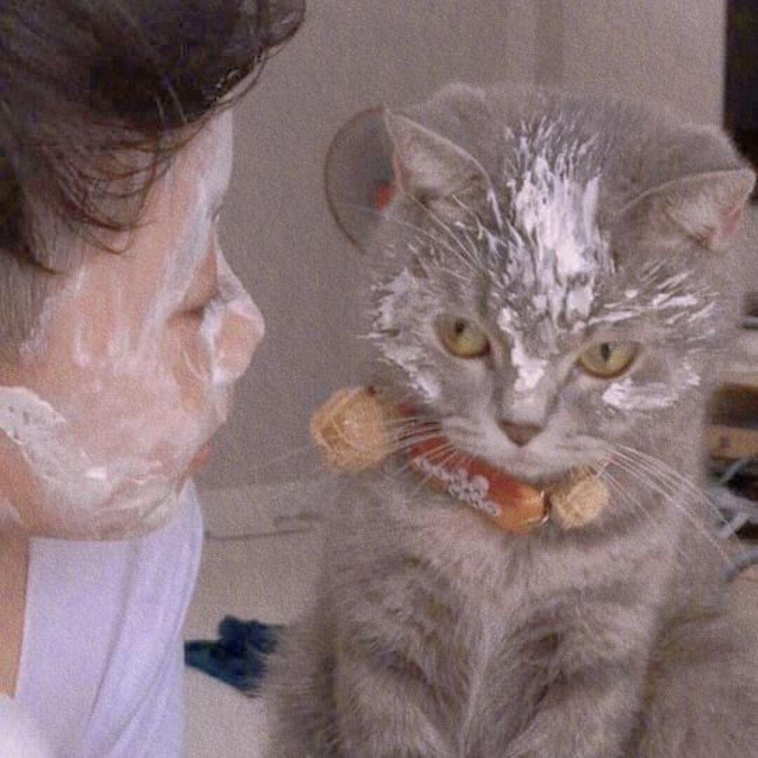 新宇宙的小金鱼