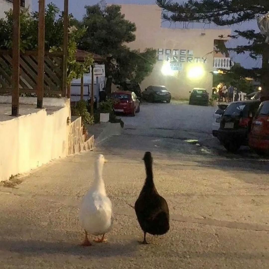 成都市草