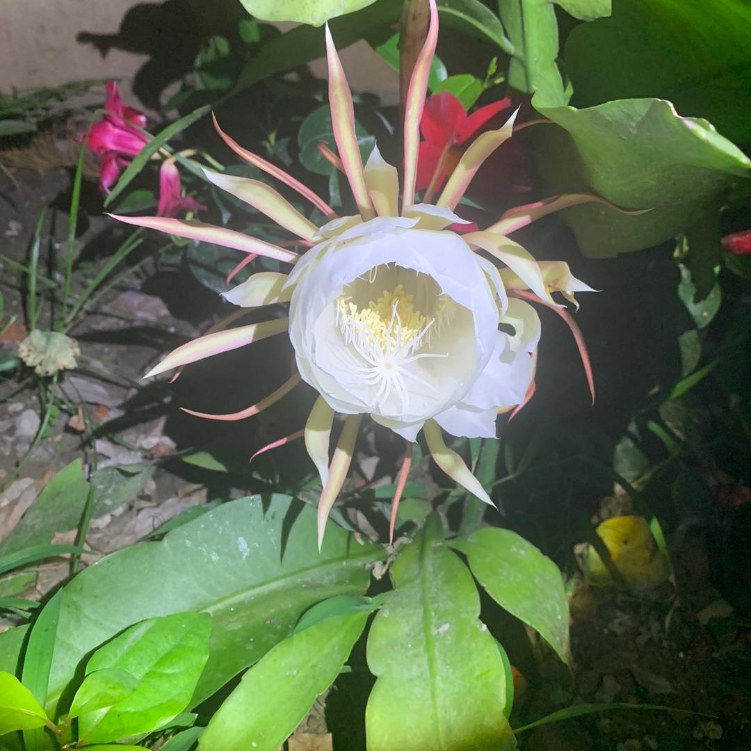 博学而笃志，切问而近思