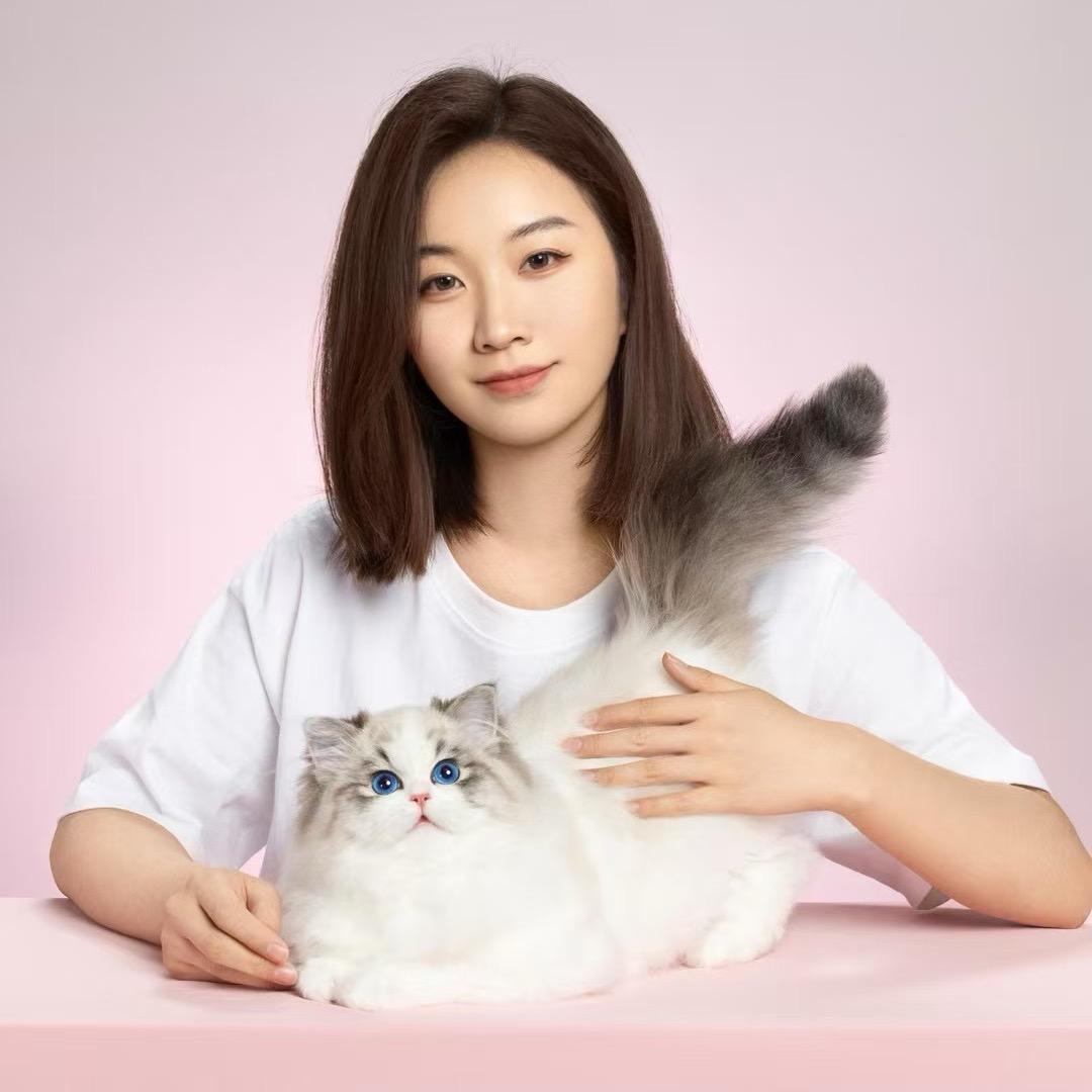 张宝彤布偶猫舍·团子🍡走播号