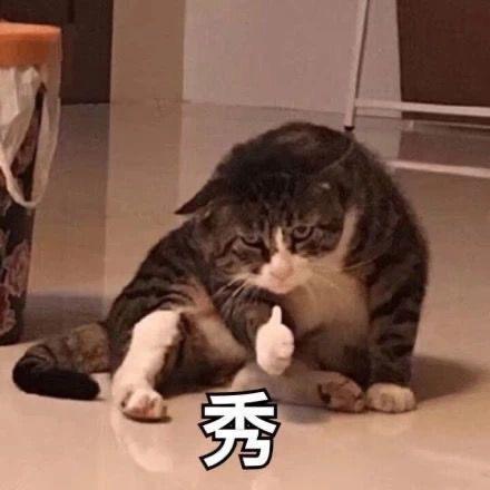 小白686