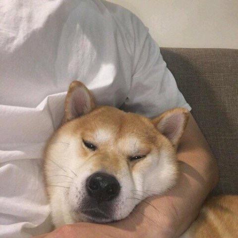 我叫小张📷