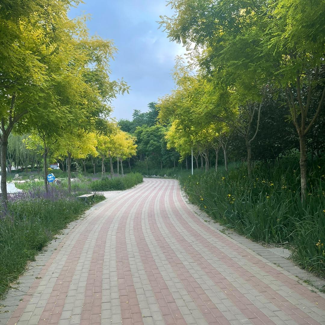 ℒᎭℯ⃝你在💞身边࿐