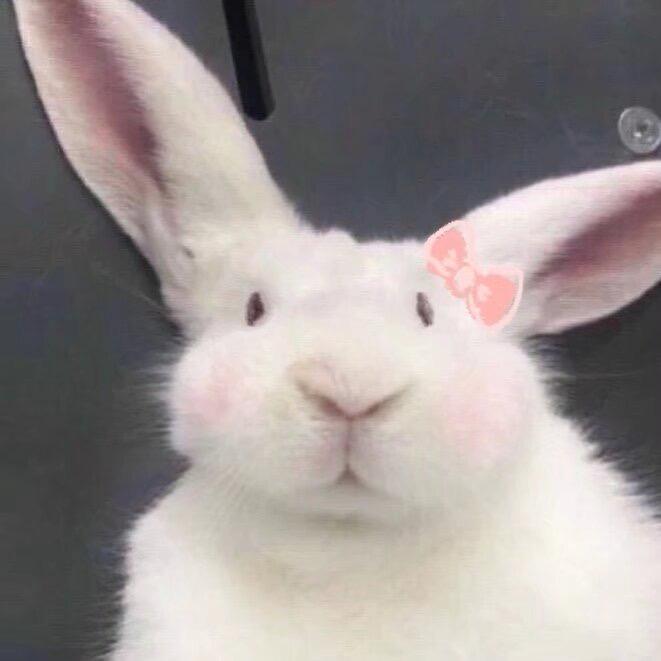 情
