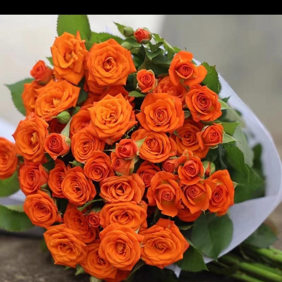 雅丹鲜花