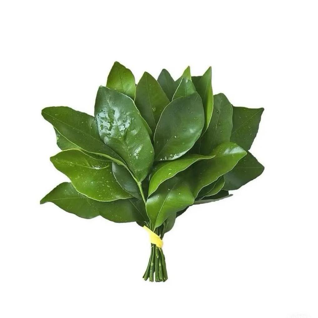 不吃鱼。