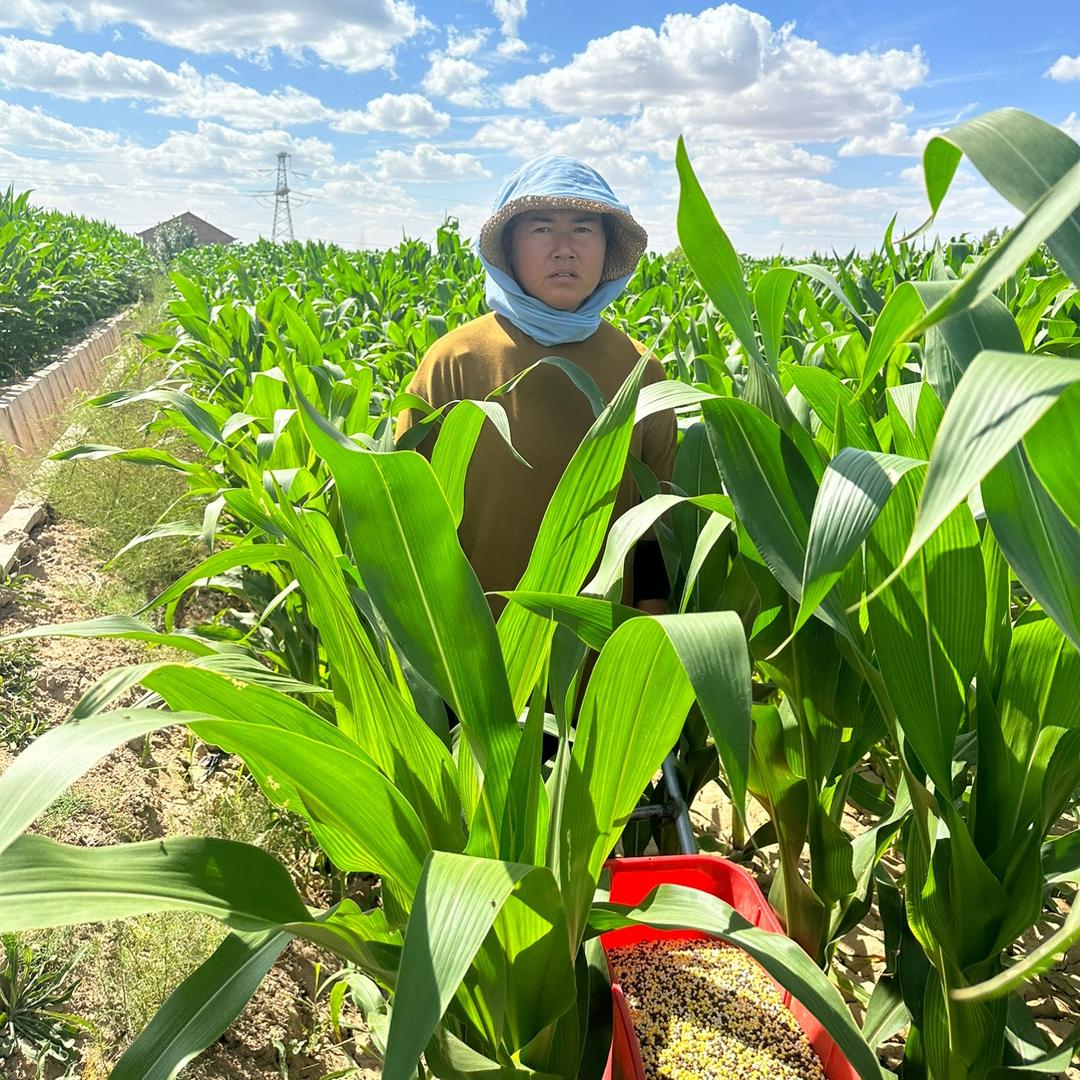 宁夏田姐二婚的生活