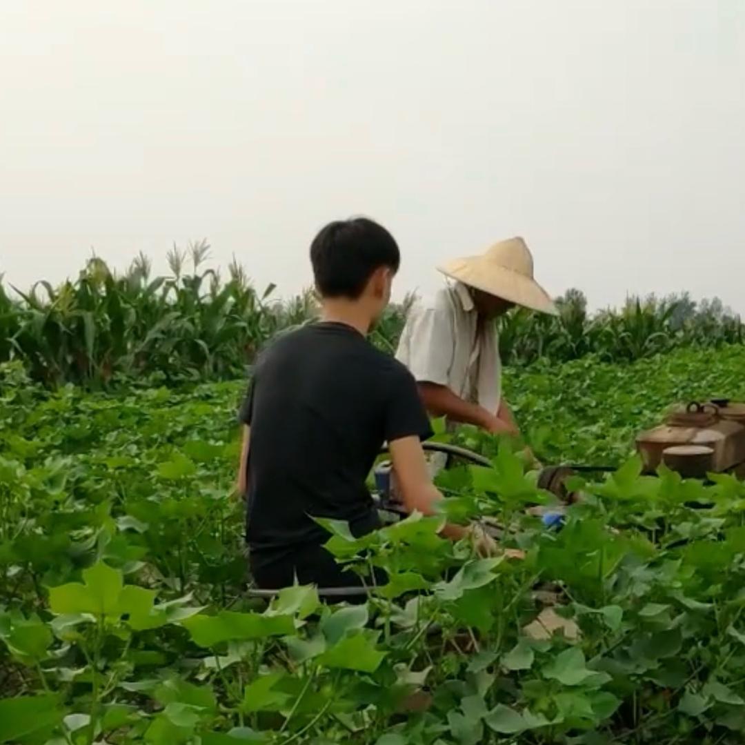 刘星（百善孝为先）