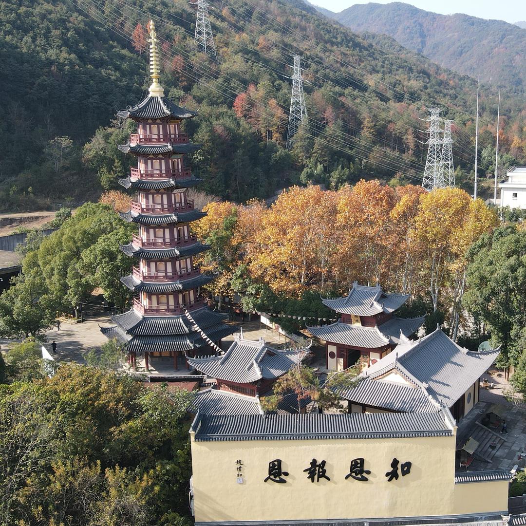 东阳全知道（东全网）