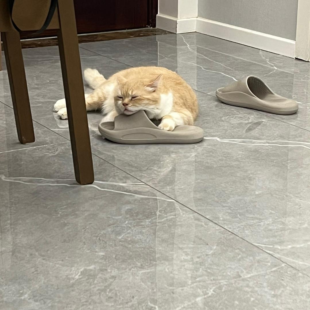 今天我挺高兴的