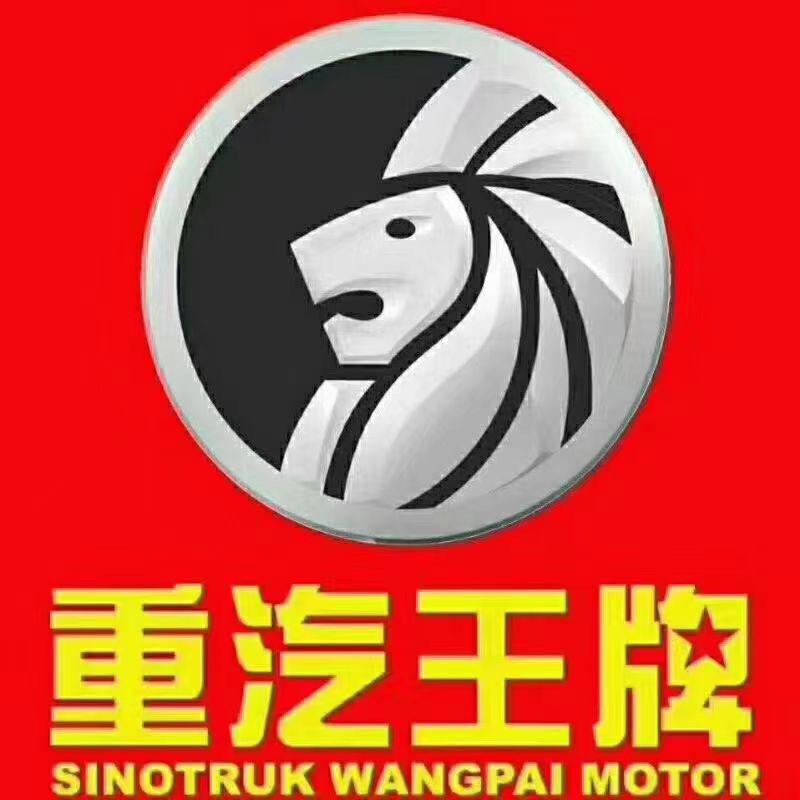 正大王牌汽车销售