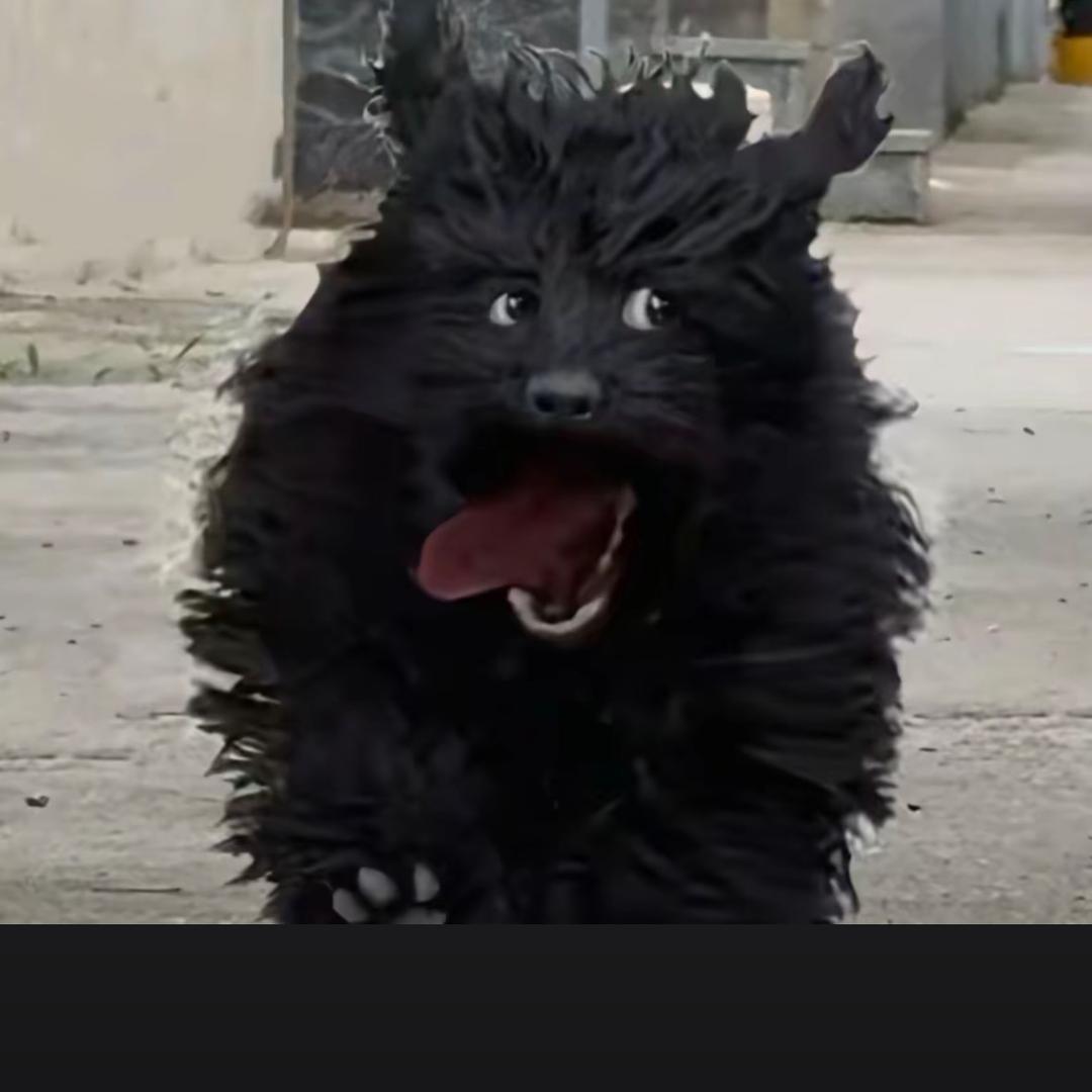 酸菜_（不吃江浸月版）