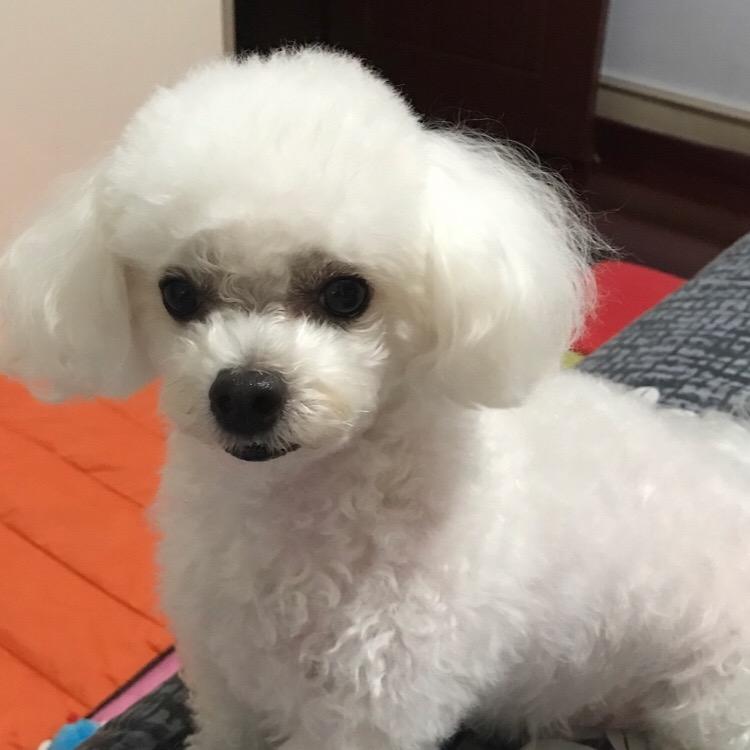 🍒红