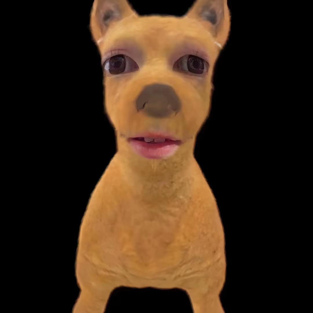 😜😜😜