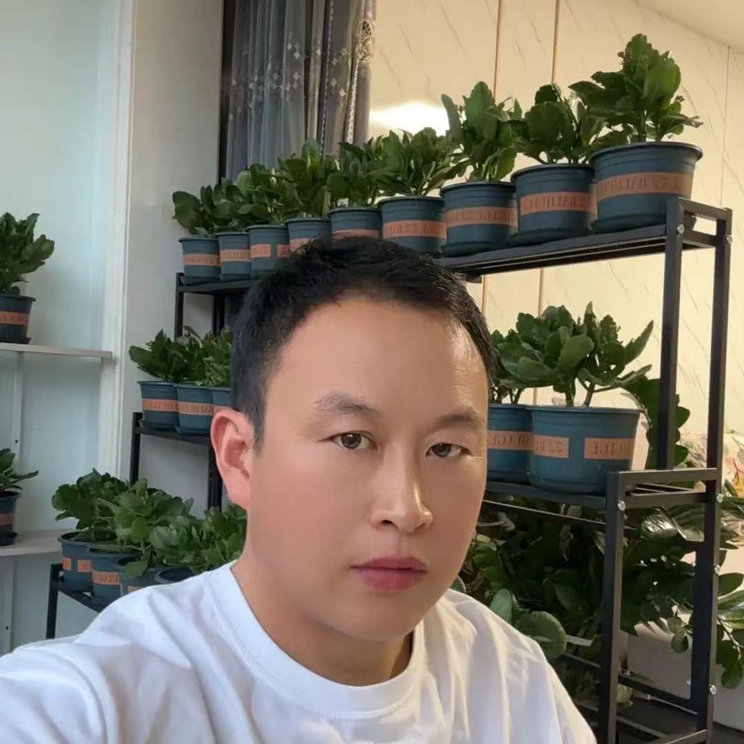 诚实哥