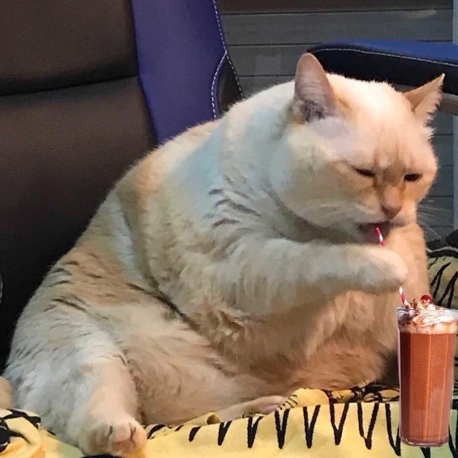 锅巴（三角洲行动）