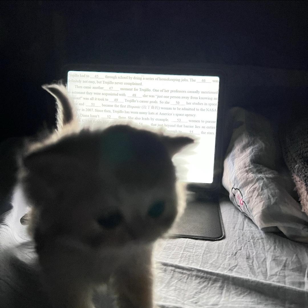💤
