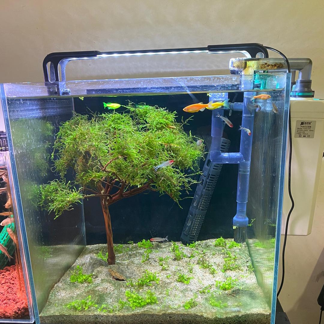 混水摸鱼