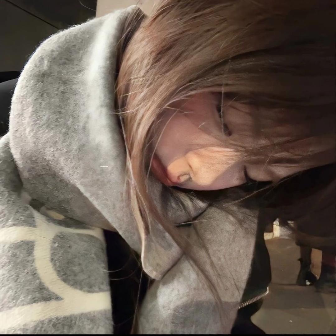 丸蛋辣/ᐠ .⸝⸝⸝. ྀིﾏ