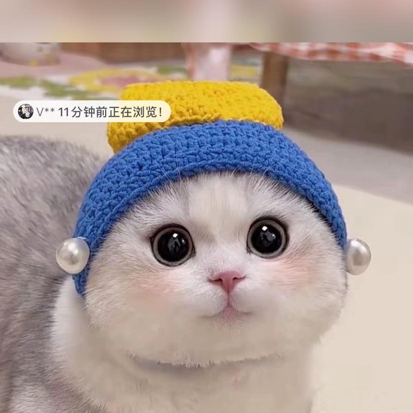 糖猫猫舍