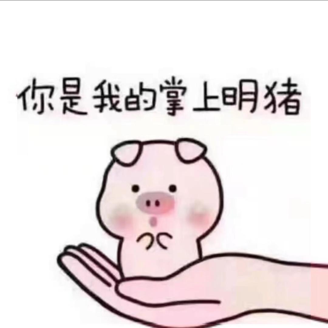 你是我的掌上明-🐷