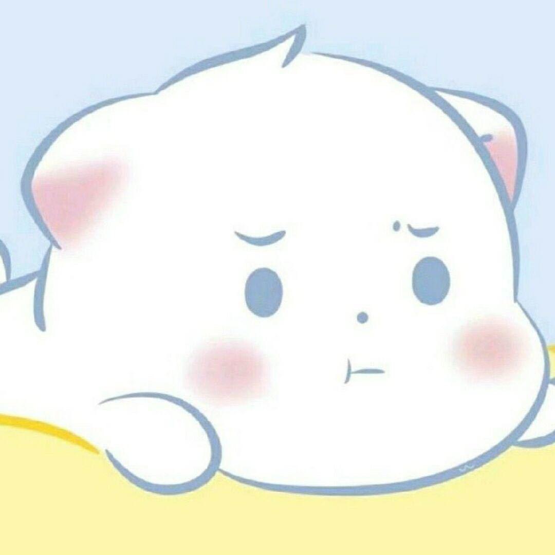 森觅