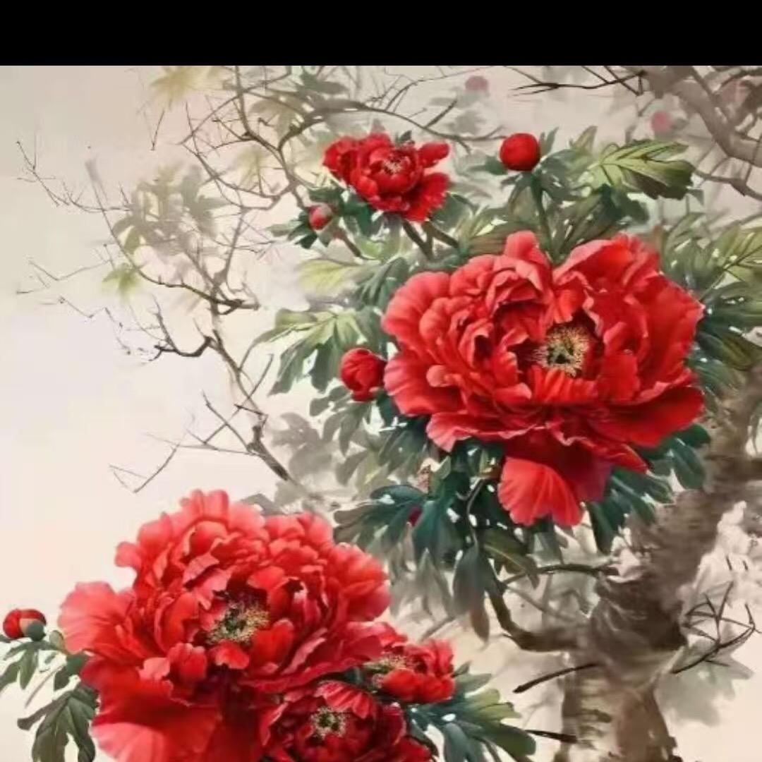 牡丹红