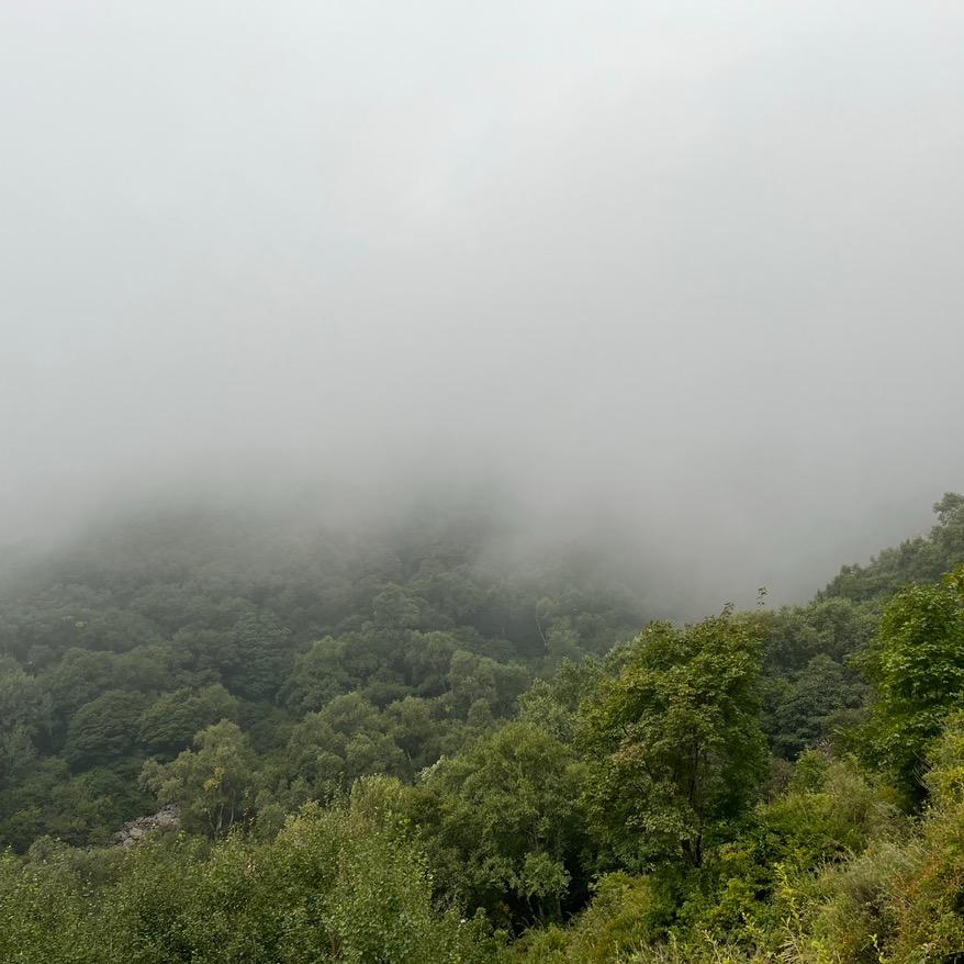 静看晓月初起时