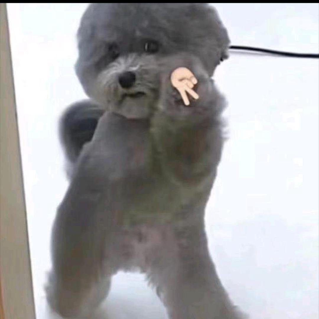 111