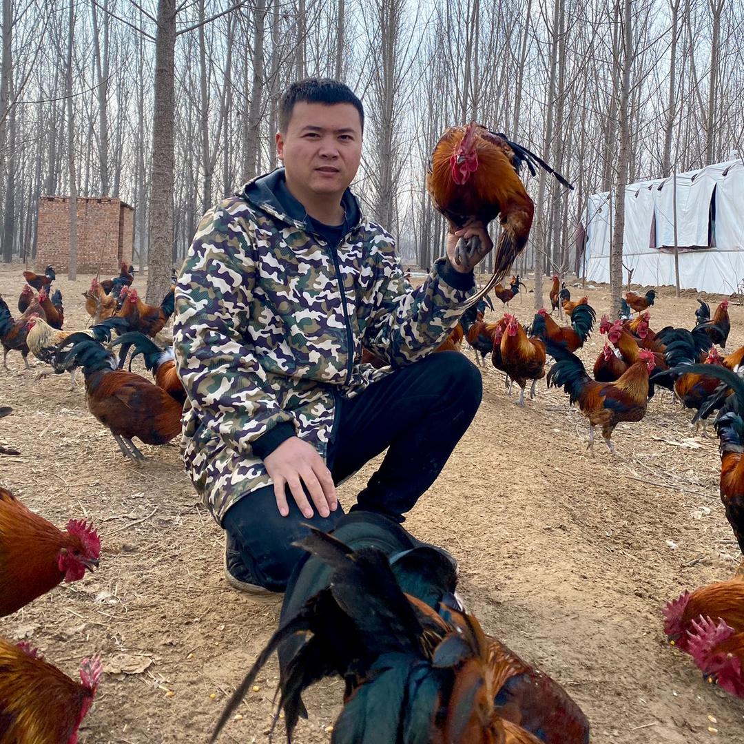 小海生态养殖场