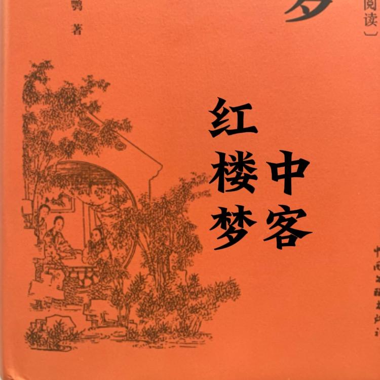 红楼梦中客