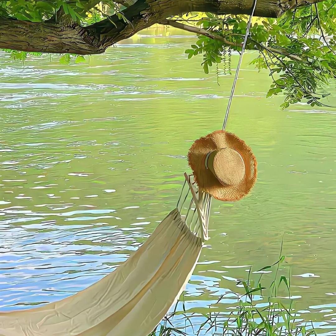 自由自在的生活💰